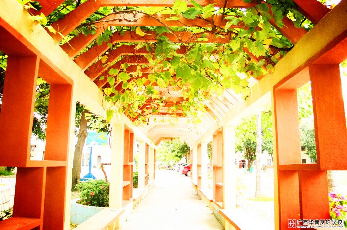 �����������ѧУ